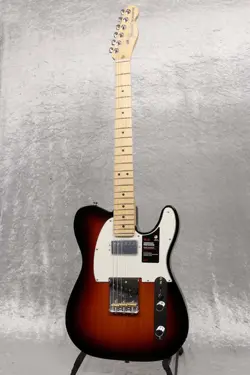 HUMBUCKING MAPLE 3-COLOR