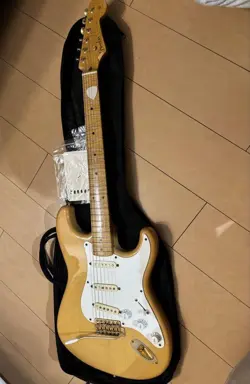 40THANNIVERSARY STRATOCASTER SAFE