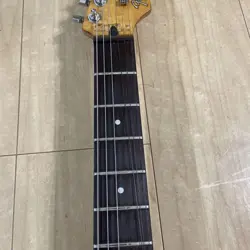 FUJIGEN SERIAL DUNCAN