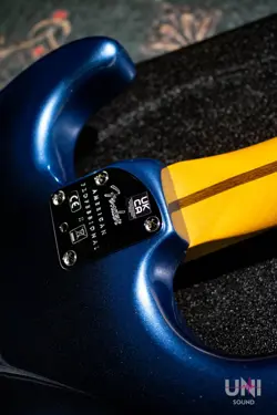 FENDER AMERICAN PROFESSIONAL II STRATOCASTER RW DK NIT 2022