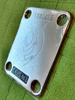 PLATE SERIAL #TS00965