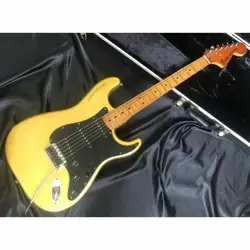 ANNIVERSARY STRAT NO.LG439