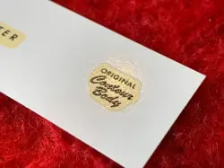 FENDER STRATOCASTER SPAGHETTI STYLE WATERSLIDE DECAL STRAT