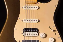 TEXAS TEA/MAPLE US23023709