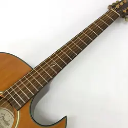 ELECTRIC ACOUSTIC FENDER