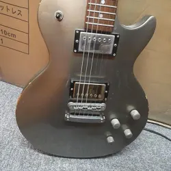 BERNIE LG-480, GIBSON, FENDER PU #PGF0YG