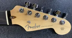 AMERICAN PROFESSIONAL EBONY