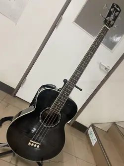 ACOUSTIC BASS