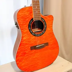 300CE AMB ACOUSTIC-ELECTRIC