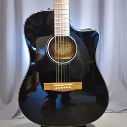 BAG DREADNOUGHT CUTAWAY