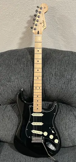 ANNIVERSARY BLACK MAPLE