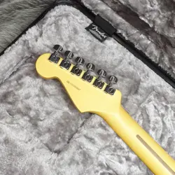 STRATOCASTER MN ROASTED