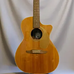 FENDER PORTER ACOUSTIC-ELECTRIC