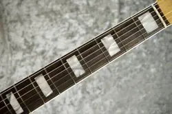 SUNBURST V2328339 3.84KG