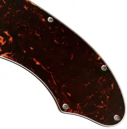 TORTOISE PICKGUARD GUITAR