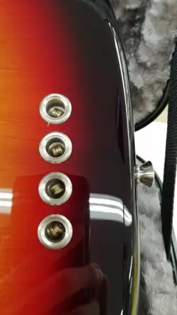 BASS AMERICAN PROFESSIONAL