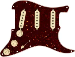 PRE-WIRED STRAT 11