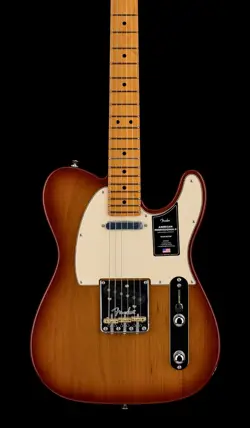 SIENNA SUNBURST #45112