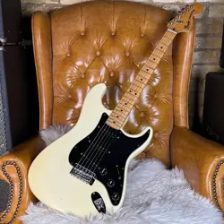 PICKGUARD PICKUPS W/