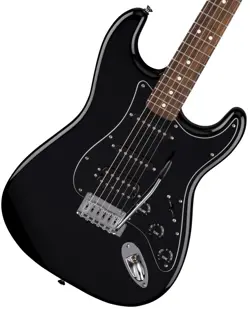 PICKGUARD BLACK WEBSHO