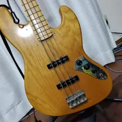 BASS COVERED
