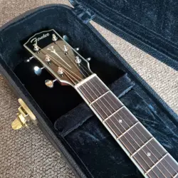 PS-220E PARLOR GUITAR