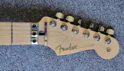FENDER/WARMOTH