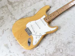 FINGERBOARD NATURAL W/GIG