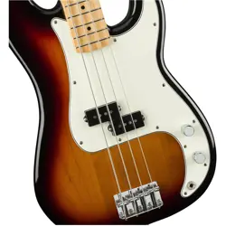 BASS MAPLE