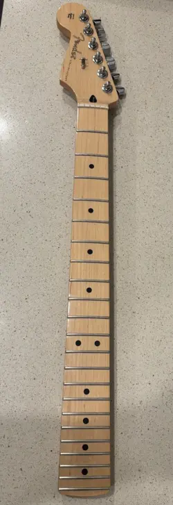 2022 MAPLE NECK