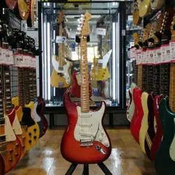 STRATOCASTER PLUS TOP