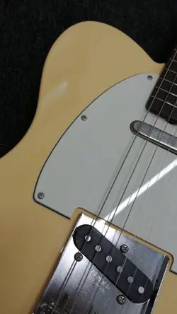 GUITAR BASSWOOD MAPLE