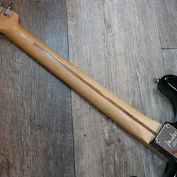 PROFESSIONAL STRATOCASTER 2016