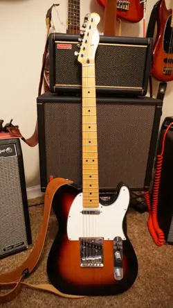 NOISELESS PUPS MAPLE