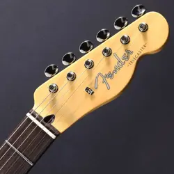 TELECASTER SH FOREST