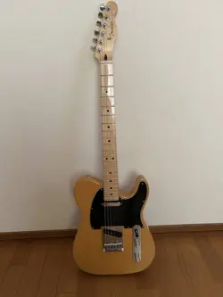 BUTTERSCOTCH BLONDE 2022