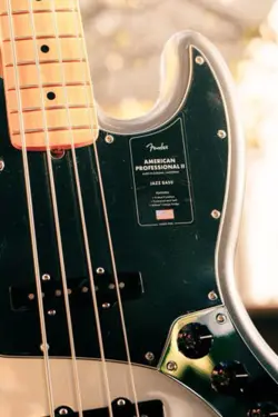 FENDER AMERICAN PROFESSIONAL II 4-STRING ELECTRIC BASS GUITAR - MERCURY