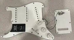 PICKGUARD/ BACKPLATE