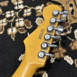 FENDER /AERODYNE SPECIAL