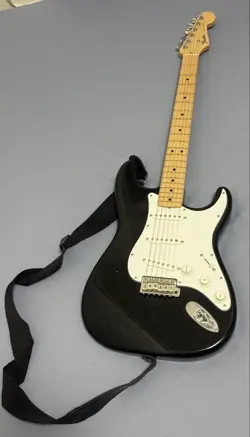 FENDER JAPAN STRATOCASTER ST-STD SET