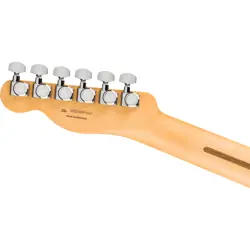 ELECTRIC GUITAR HARVEST