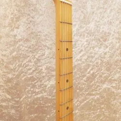 FENDER JAPAN TL71-58 NO.DG1762