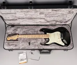 PROFESSIONAL STRATOCASTER LEFT