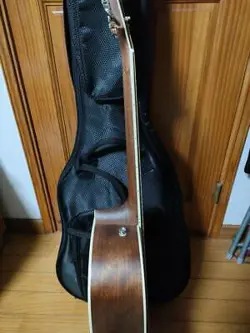FENDER PARAMOUNT PM-2