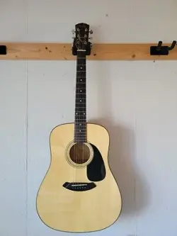 GUITAR FENDER ACOUSTIC DG-5NAT WITH HARD CASE USED