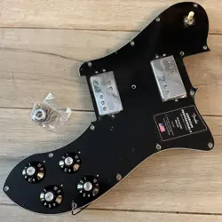 PICKGUARD V-MOD DOUBLE