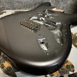 FENDER AMERICAN PROFESSIONAL II STRATOCASTER BODY WITH EXTRAS