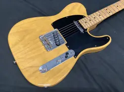 FENDER AMERICAN PROFESSIONAL TELECASTER / BUTTERSCOTCH BLONDE