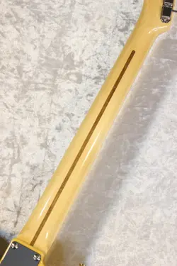 BUTTERSCOTCH BLONDE #JD250068