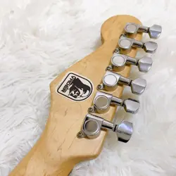 SYNCHRONIZED TREMOLO STRATCASTER